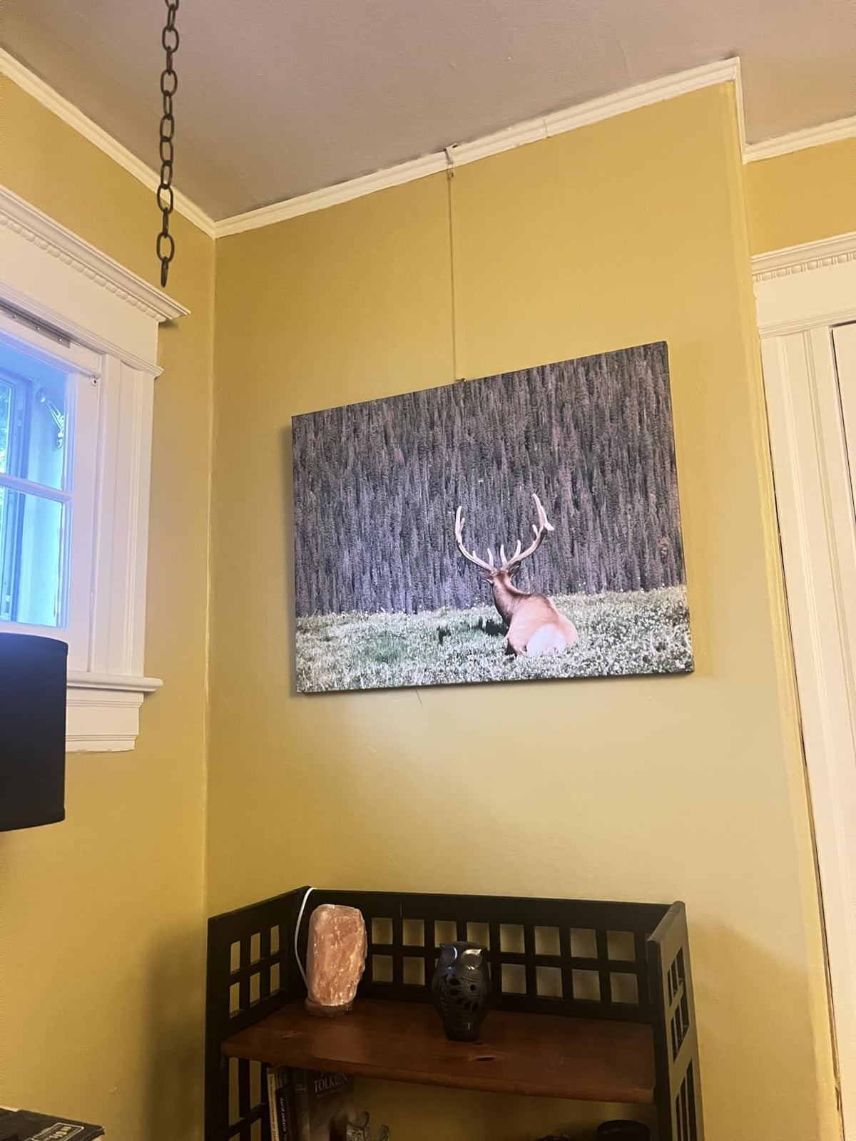 Custom Photo Canvas Prints – Create Your Own Wall Decor