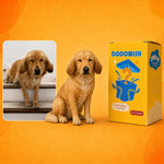 Custom 3D Pet & Mini Me Figurine from Photo | Personalized Chibi Portrait Statue